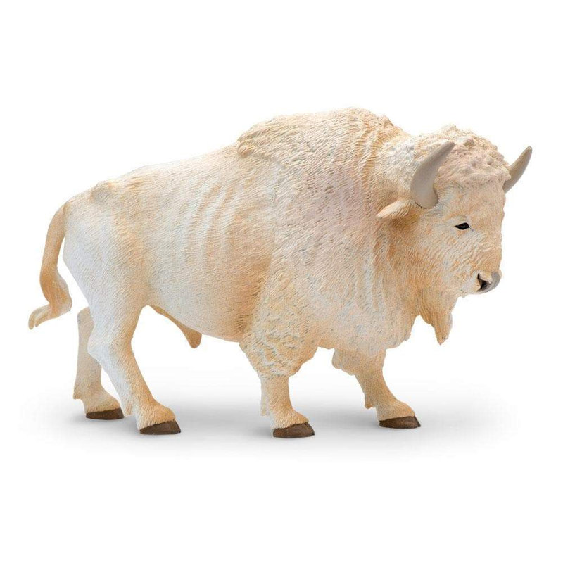 Buffle blanc