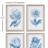 Indigo Protea Prints, Set of 4