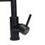 Belfry Kitchen Burhill Pull Out Kitchen Faucet-2025967479