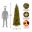 Downswept DouglasFir Pencil Slim Tree with Dual Colour LED Lights-153870978