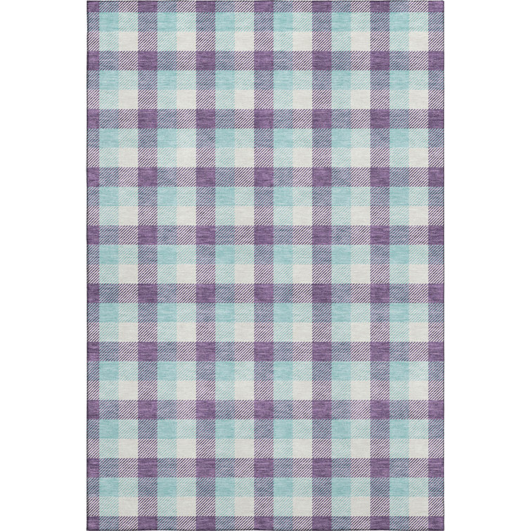 Premium Machine Washable Crumley AMF1053 Plaid Rug