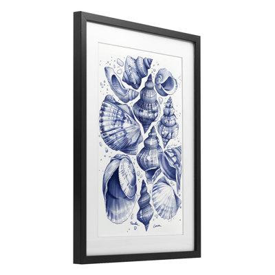 Aquatic Conch Collection Framed Print Under Glass, design by LSR Design Studio