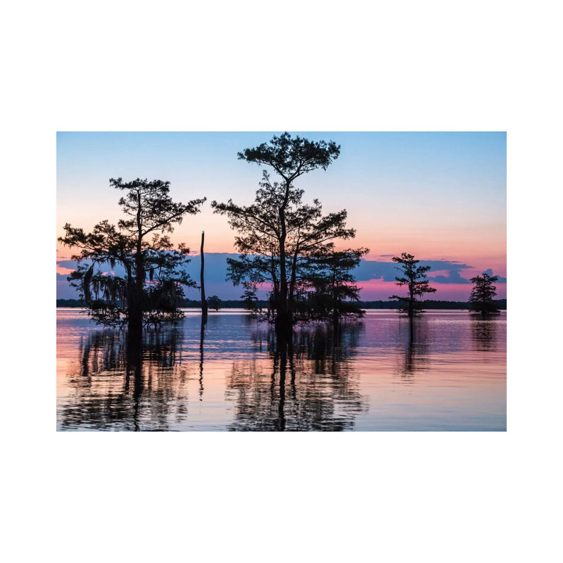 USA, Louisiana, Atchafalaya National Wildlife Refuge. Sunrise on swamp. 1 Piece Wrapped Canvas Wall Art