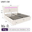 Ottoman Storage Bed-1731676094