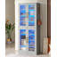 Tall Bookcase with Doors and LED Light-476487563