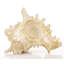 Higham Decorative Object