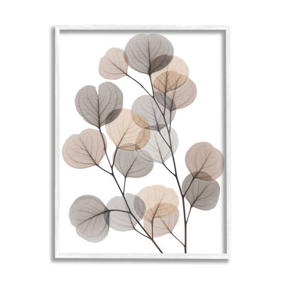 Feuilles d'eucalyptus moderne, feuilles translucides brun gris, estampe numérique encadrée, art texturé par Albert Koetsier