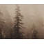 MISTWOOD I - 20" X 30" - BROWN FLOATER FRAME