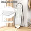 Metal Oval Floor Mirror