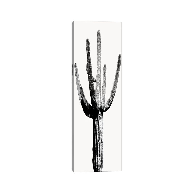 Black & White Saguaro Cactus I by Mia Jensen - Wrapped Canvas Panoramic Painting, 121.92 cm H x 40.64 cm W x 3.175 cm D