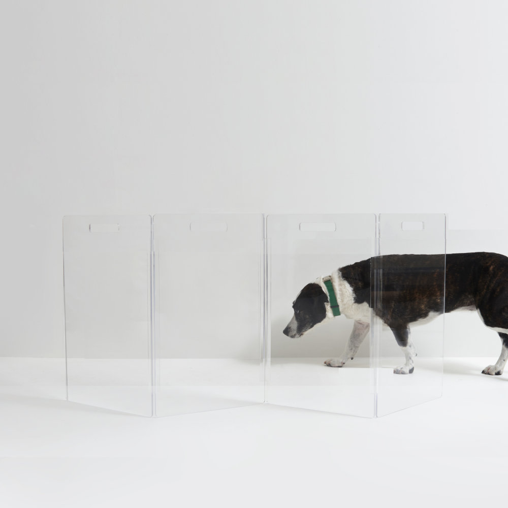 Clear Zig Zag Pet Gate, 4-Panel , Tall