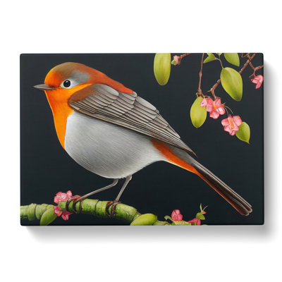 Spellbinding Robin Bird - Wrapped Canvas