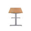Bouton Adjustable Metal Base Standing Desk-656411964-656821100-639665721