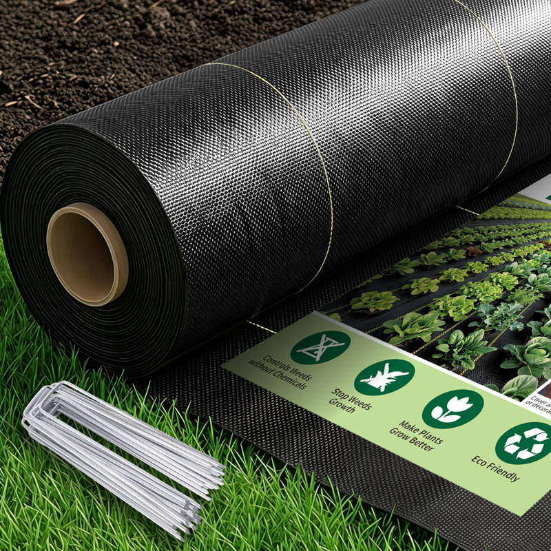 Tissu de contrôle des mauvaises herbes à double couche 300 L x 5 pi l, tissu de paysage de jardin PP résistant aux mauvaises herbes, réduit l'évaporation, coupe facile, bonne respirabilité