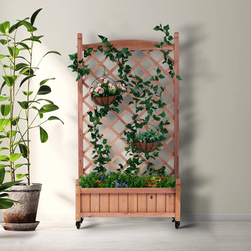 Lit de jardin surélevé avec treillis - paquet de 2 - jardinière en bois pour l'extérieur et support pour plante