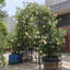 97.16 Ft. H x 58.07 Ft. W Galvanized Steel Gate with