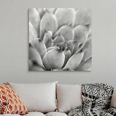 «Garden Succulent I», art mural sur toile