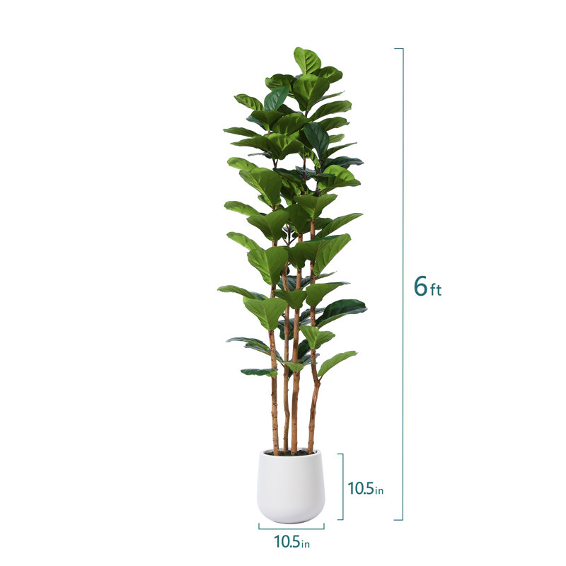 Adcock  Artificial Fiddle Leaf Fig Tree with Realistic Leaves and Natural Trunk, Potted Tree, 72" H x 24" W x 24" D