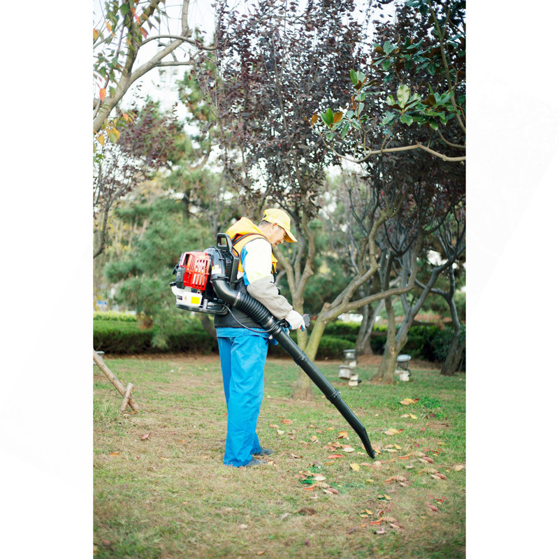 2-Cycle Gas Backpack Leaf Blower with extention tube