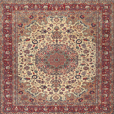 Oriental Indoor Rug