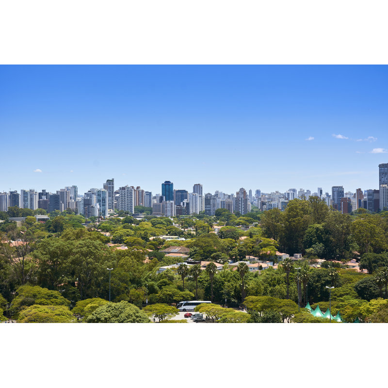 Finbarr " Ibirapuera Park, Sao Paulo " by Cifotart, 32" H x 48" W