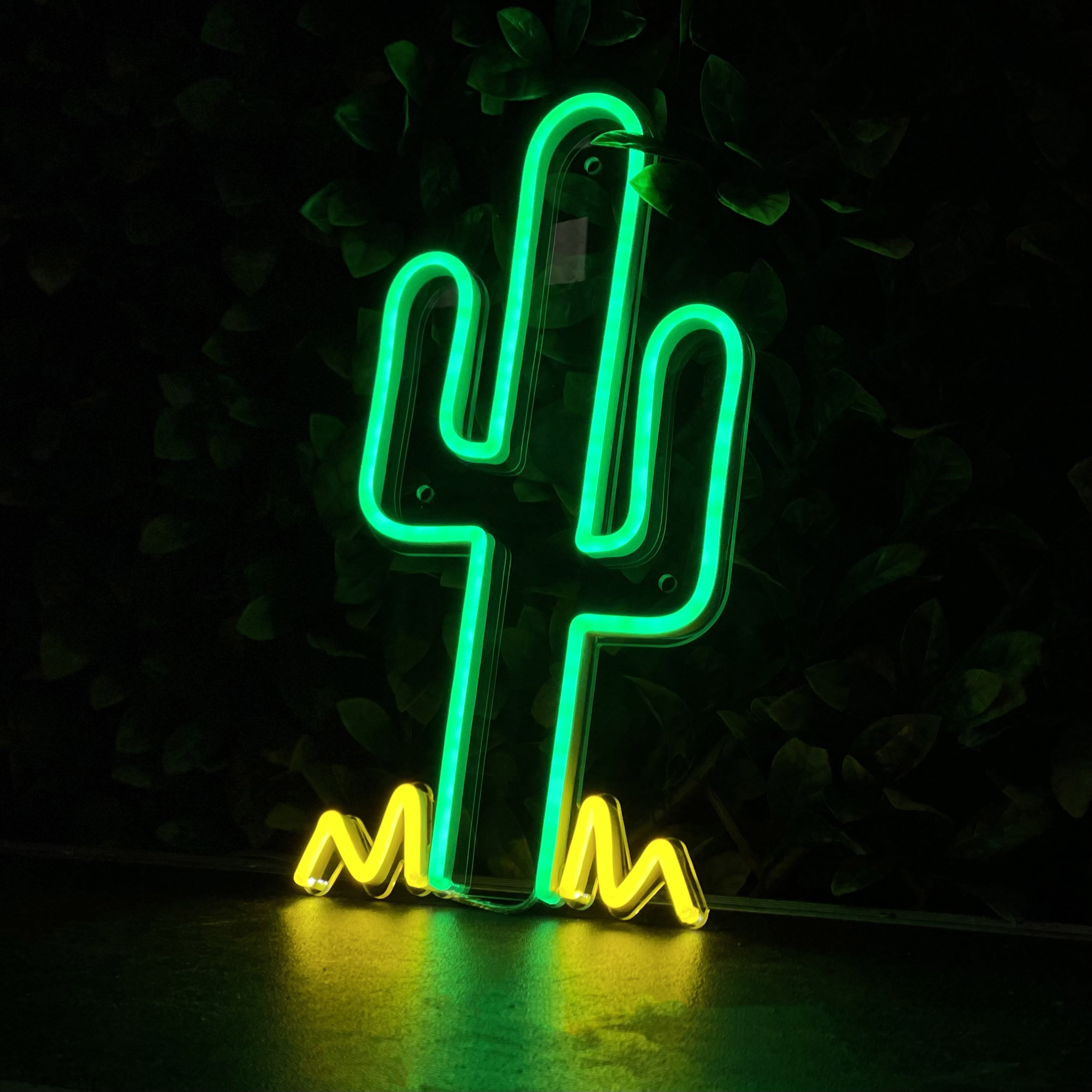 Cactus neon shop wall light