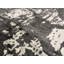 Trenton Abstract Area Rug