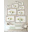 Never Grow Old by Marmont Hill - Single Picture Frame Painting-1643805132