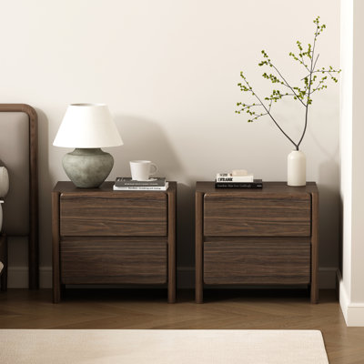 Linda 24" Modern Nightstand with 2 Drawers in Walnut Brown