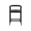 Taneishia Stool with Solid Wood Frame