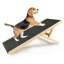 Pet Ramp