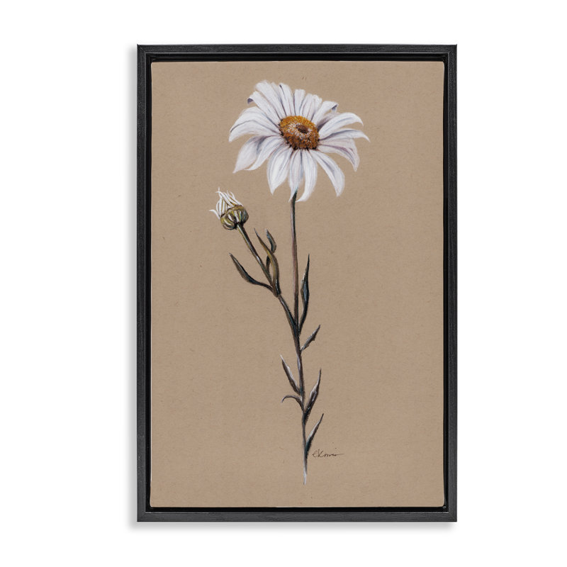 Daisy Sprout sur cadre flottant brun clair, design par Cady, Cadre flottant noir de jais, H 25 po x l 17 po