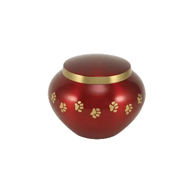 Broxton Paw Pet Urn | Large
