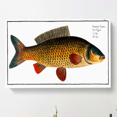 Carp Fish by M.E. Bloch - Wrapped Canvas