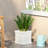 MGO PLANTER
