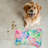 Abstract Paint Patterns - Bone Shape Feeding Mat