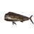 Mahi Mahi laser cut steel wall mounted-496087693