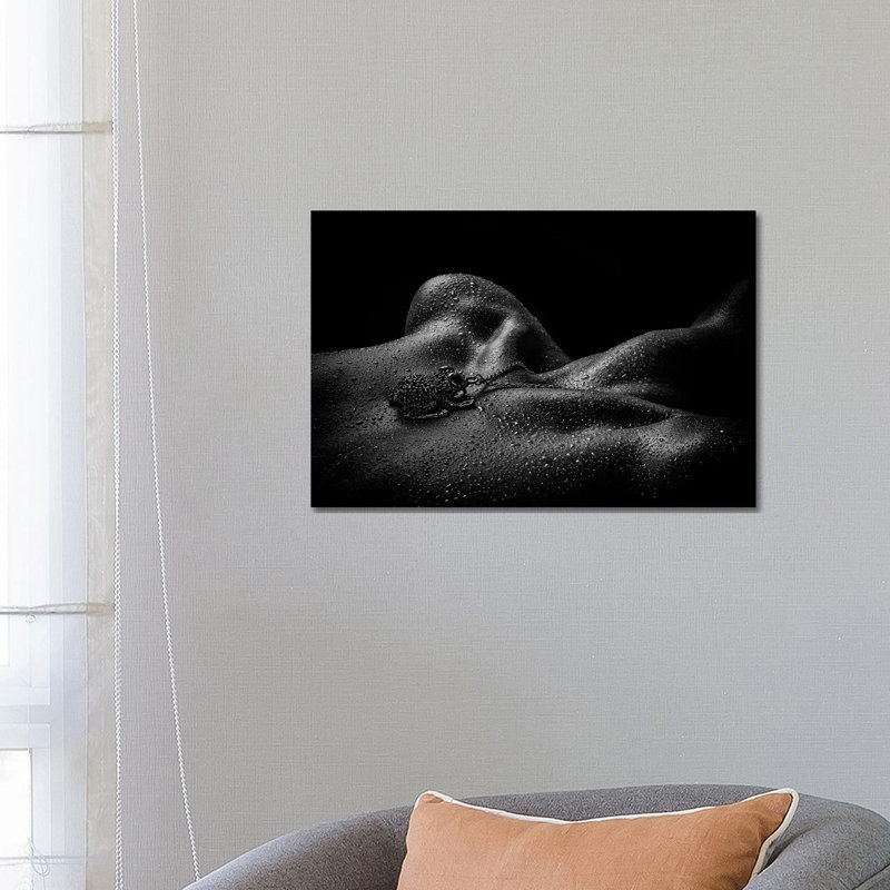 Drops // Frog by Peter L. Nielsen - Wrapped Canvas Gallery-Wrapped Canvas Giclée, 66.04 cm H x 45.72 cm W x 1.91 cm D
