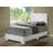 Upholstered Low Profile Standard Bed-89169827-89169836
