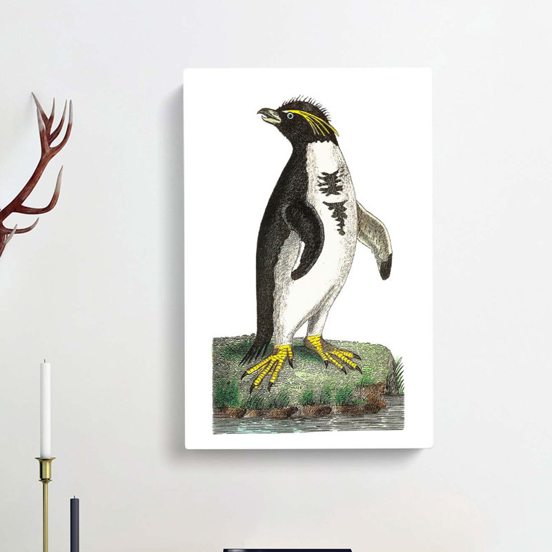Crested Penguin by George Shaw - Wrapped Canvas, 60cm H x 40cm W x 3cm D
