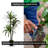 Handmade Artificial Yucca Tree with Real Wood-383456076