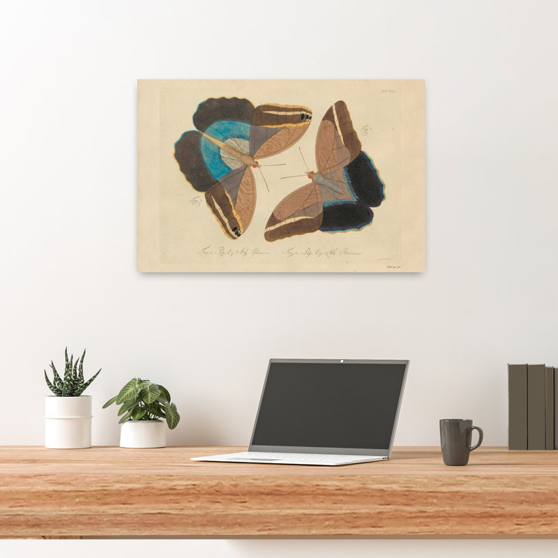 Papillons rétro 2, art papillon rétro contemporain, H 24 po x l 16 po