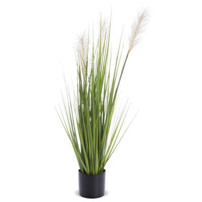 70 cm H Faux Pampas Grass Plant in Earthenware Pot