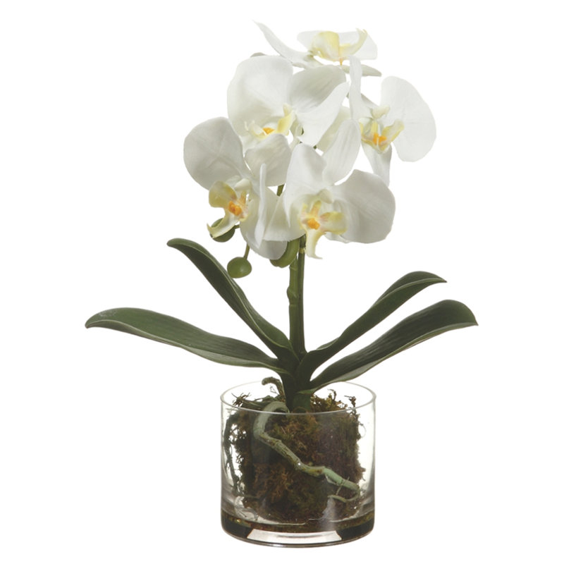 Faux orchidée en verre vase, Blanc