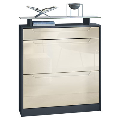 16 Pair Shoe Storage Cabinet