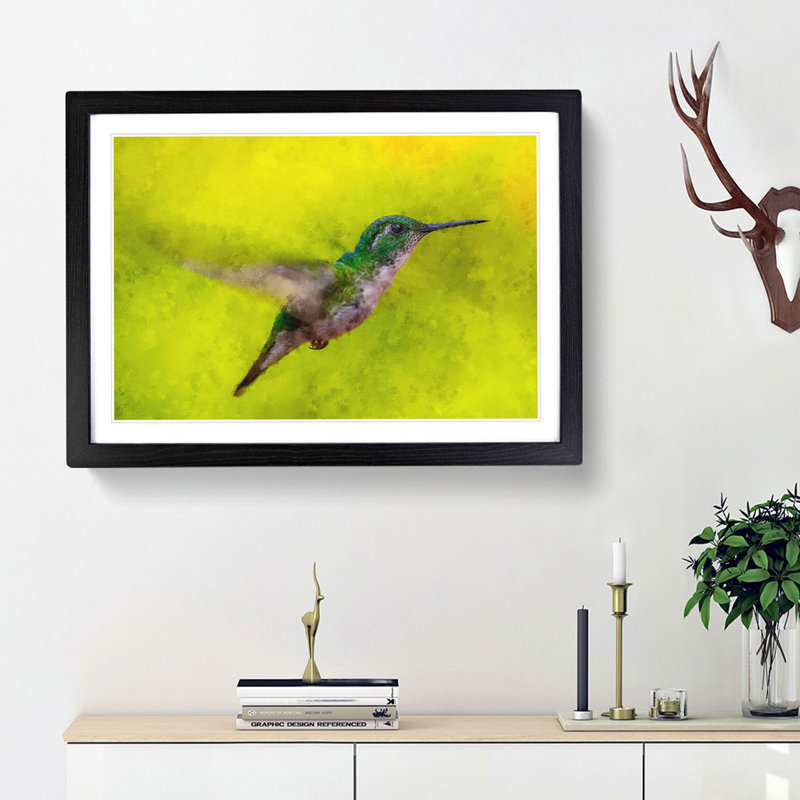 Hummingbird in Costa Rica - Picture Frame Painting Print, 62cm H x 87cm W x 2cm D, Black Framed