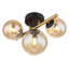 Candance Glass Spotlight