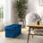30" Upholstered Ottoman with Storage-1571178001