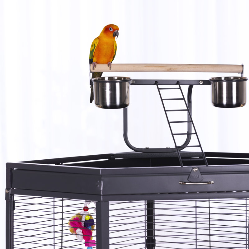 Cage à oiseaux d'angle