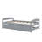 Platform Bed With Trundle Bed